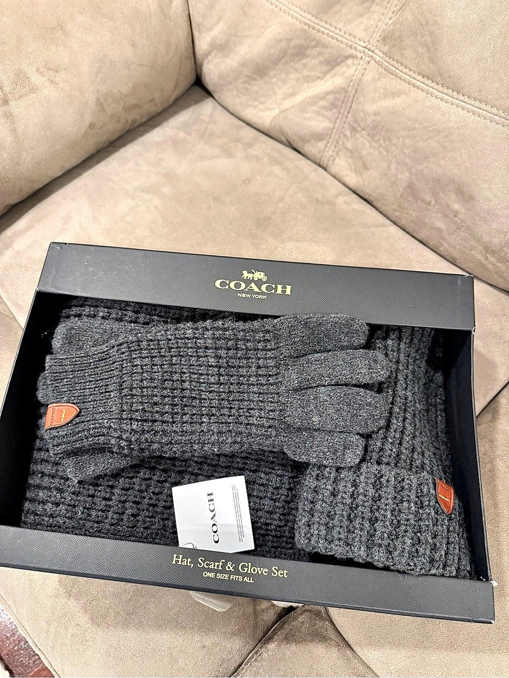 Coach Hat, Scarf & Glove Set Gray